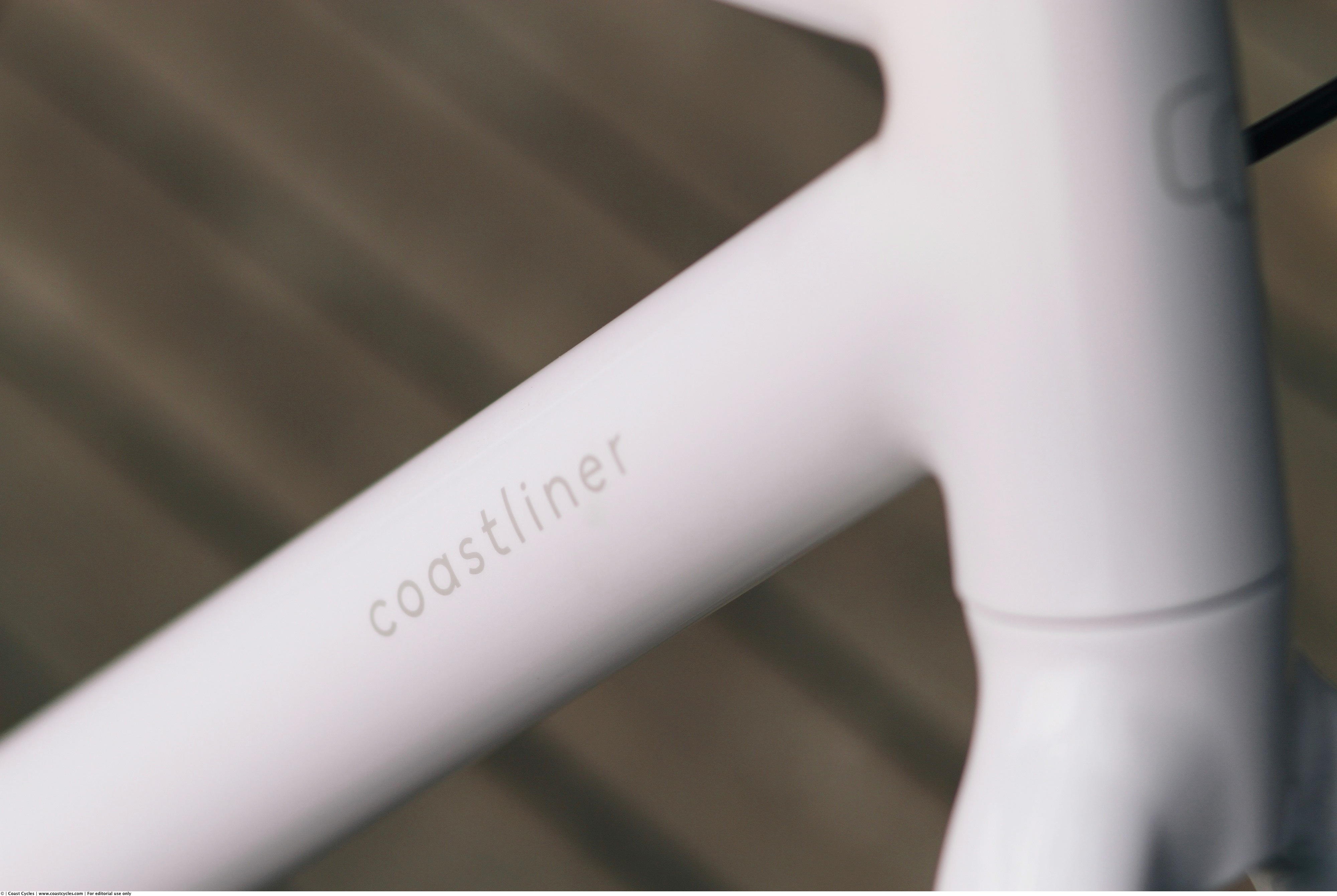 Coast Cycles Coastliner_stealth cable routing closeup